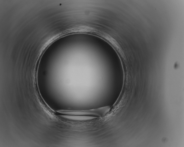X0000094380850200711242021
