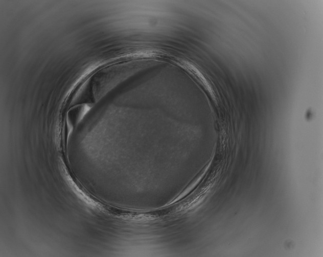 X0000094380851200711242021