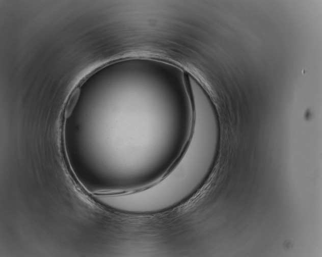 X0000094380854200711242021