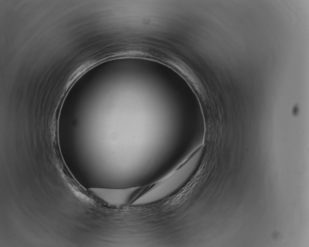 X0000094380858200711242021