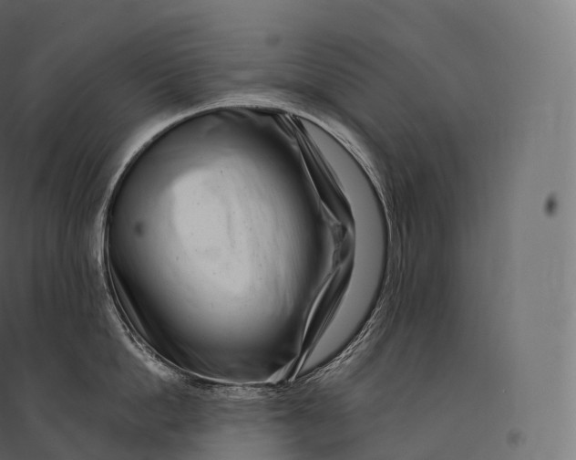 X0000094380862200711242021