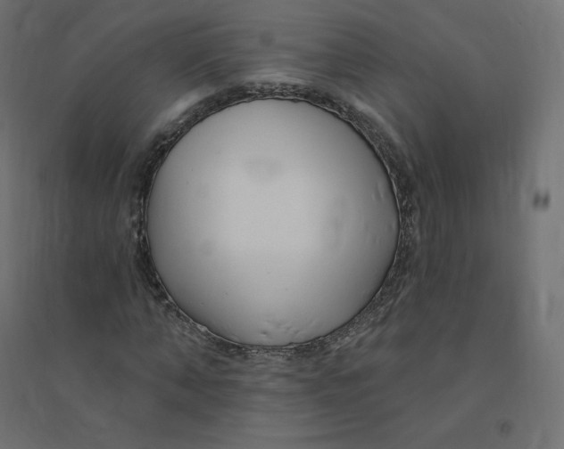 X0000094380870200711242020