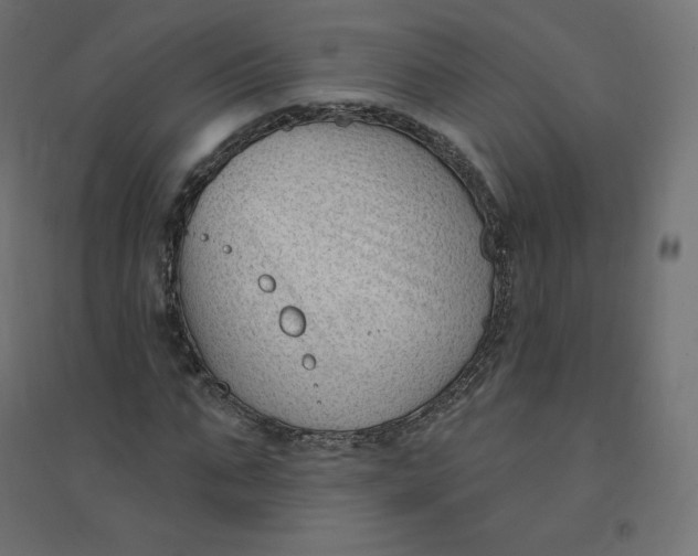 X0000094380871200711242020