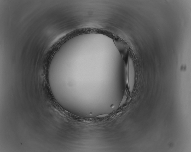 X0000094380872200711242020