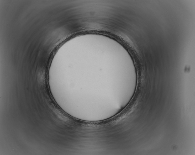 X0000094380873200711242020