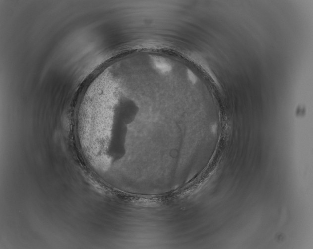 X0000094380874200711242020