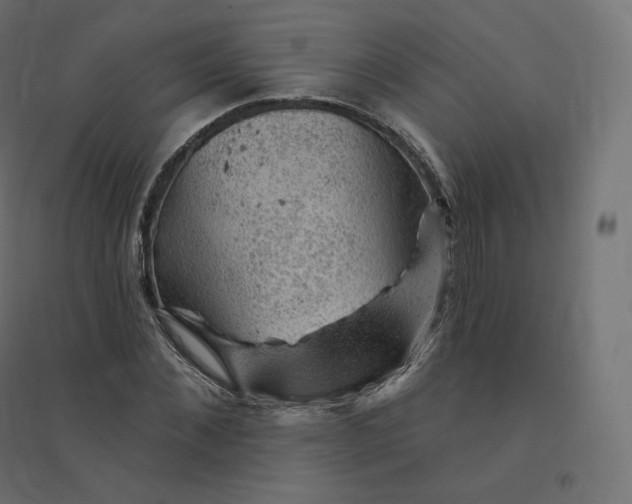 X0000094380876200711242020