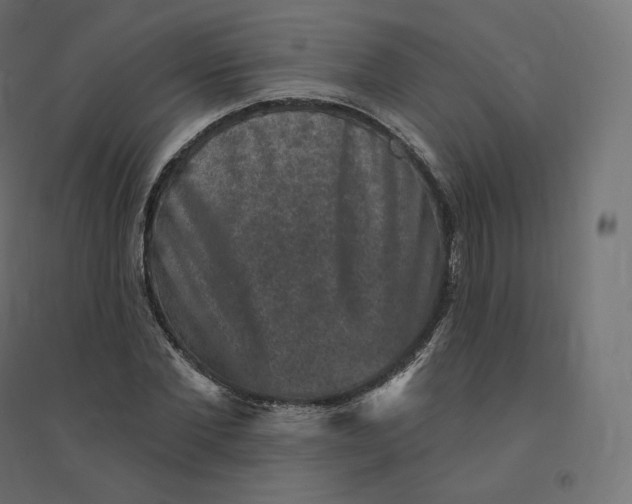 X0000094380877200711242020