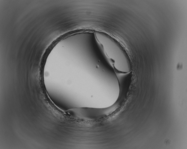 X0000094380880200711242020