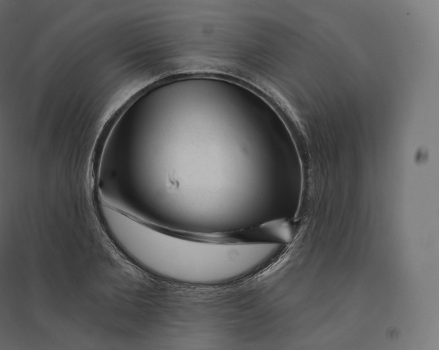X0000094380885200711242020