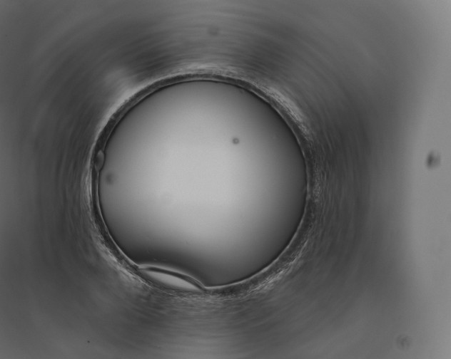 X0000094380888200711242020