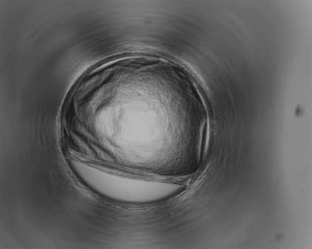 X0000094380891200711242020