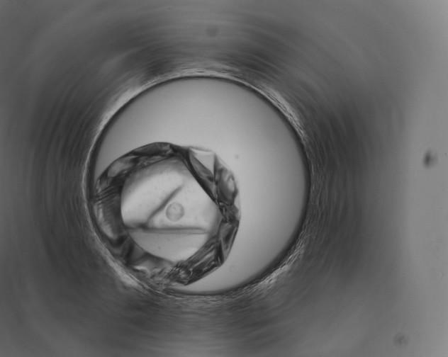 X0000094380893200711242020