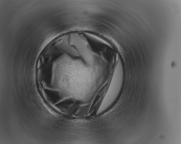 X0000094380894200711242020
