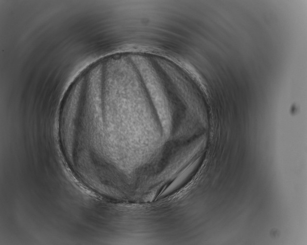 X0000094380896200711242020