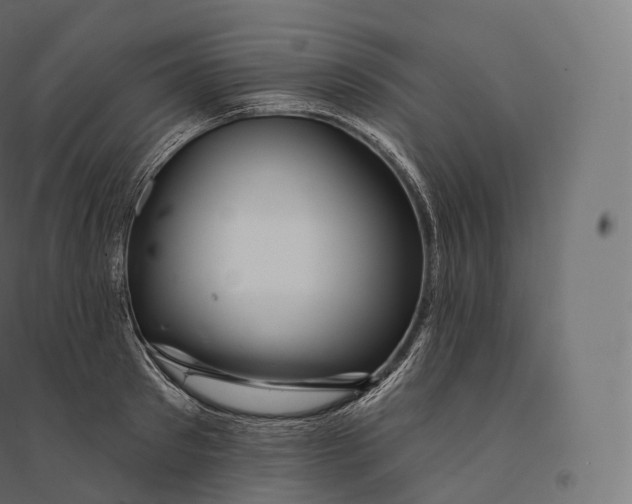 X0000094380897200711242020
