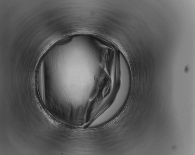 X0000094380898200711242020