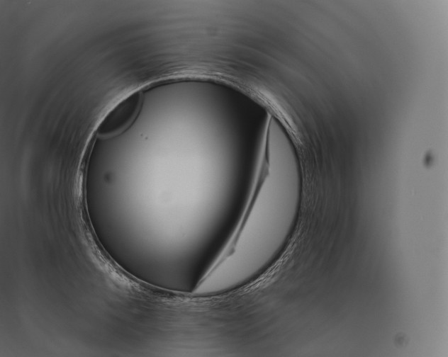 X0000094380900200711242020