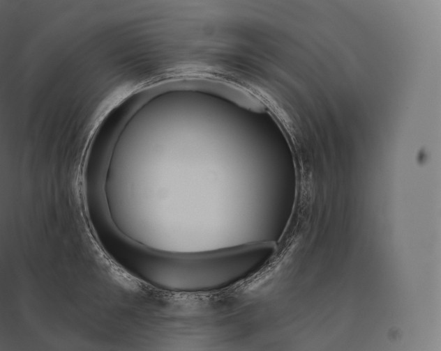 X0000094380901200711242020