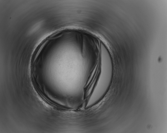 X0000094380902200711242020