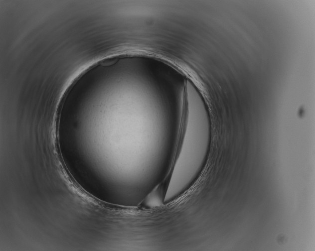 X0000094380904200711242020