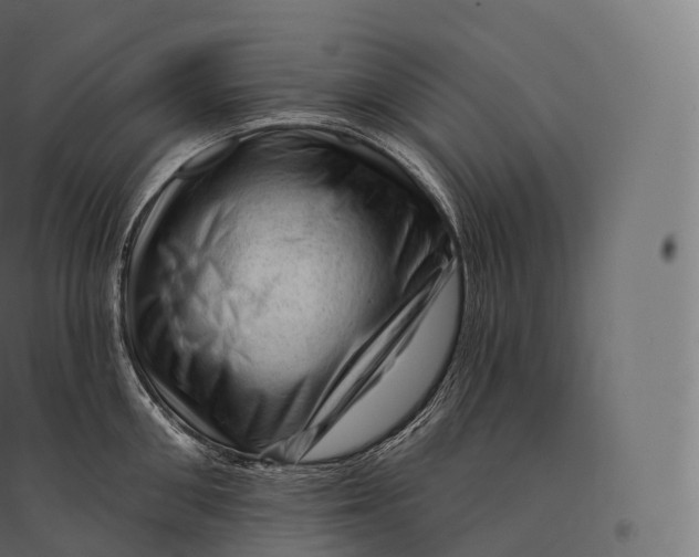X0000094380906200711242019