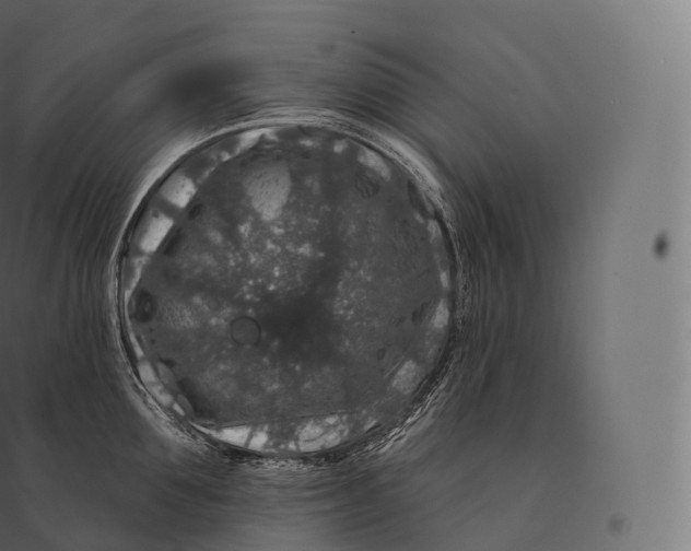X0000094380907200711242019