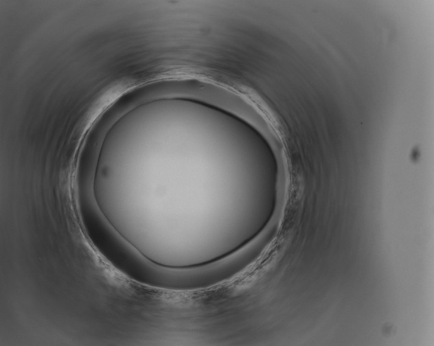 X0000094380909200711242019