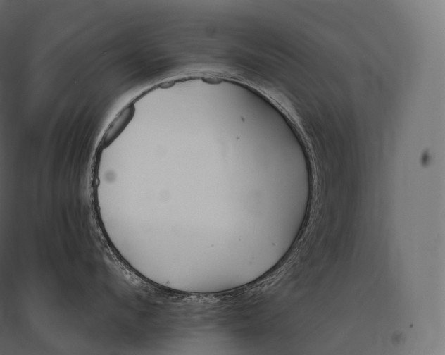 X0000094380912200711242019