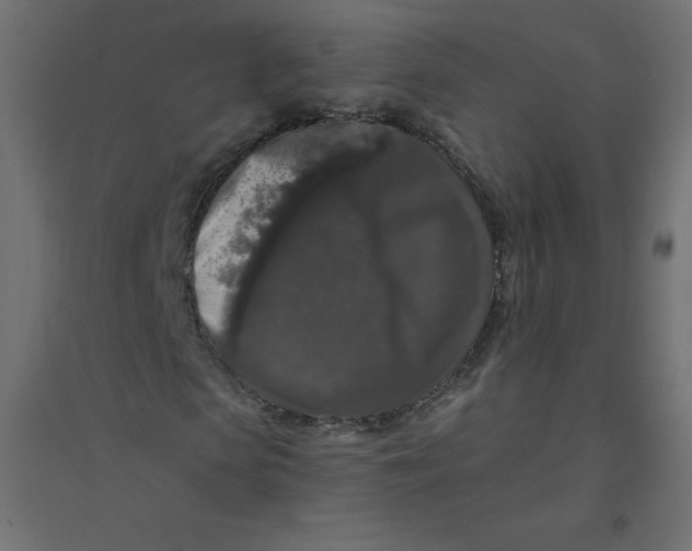 X0000094380913200711242019