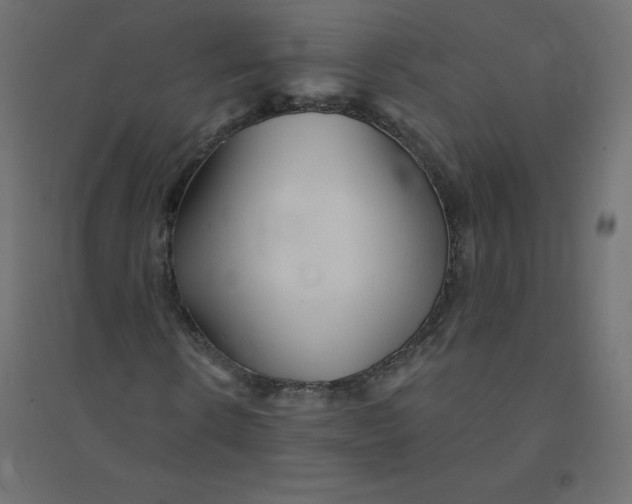 X0000094380914200711242019