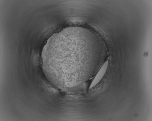 X0000094380915200711242019