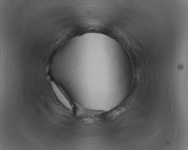 X0000094380916200711242019