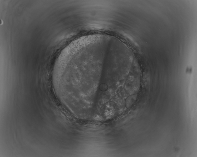 X0000094380917200711242019