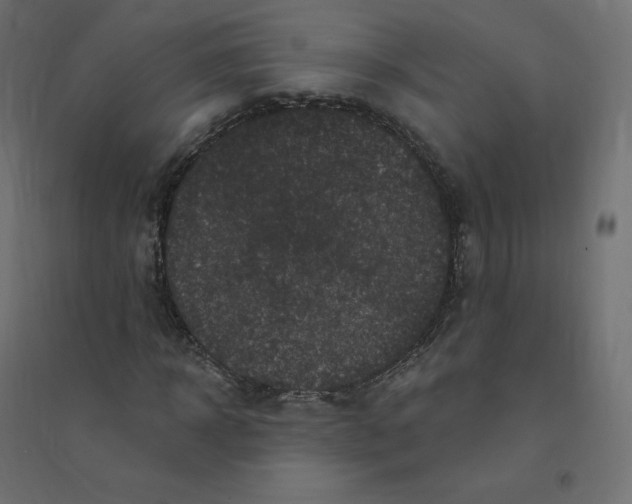 X0000094380918200711242019