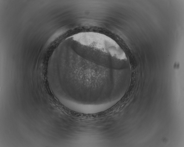 X0000094380919200711242019