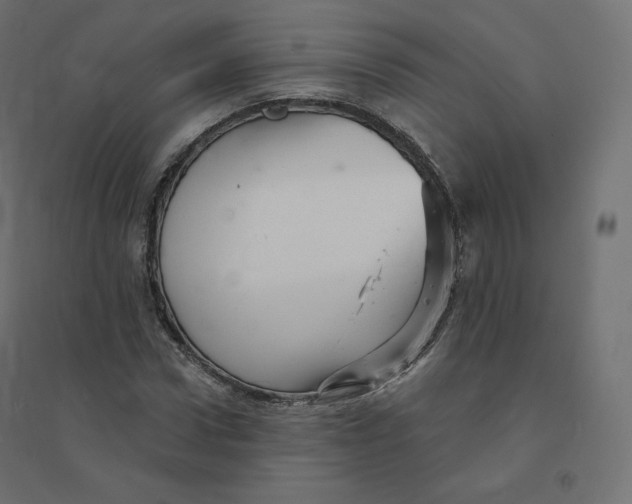 X0000094380922200711242019