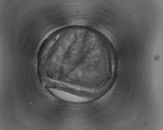 X0000094380923200711242019