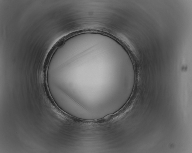 X0000094380924200711242019