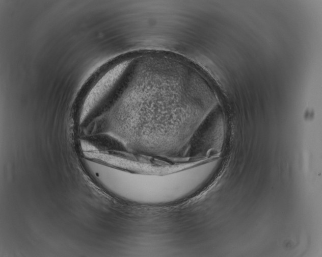 X0000094380926200711242019