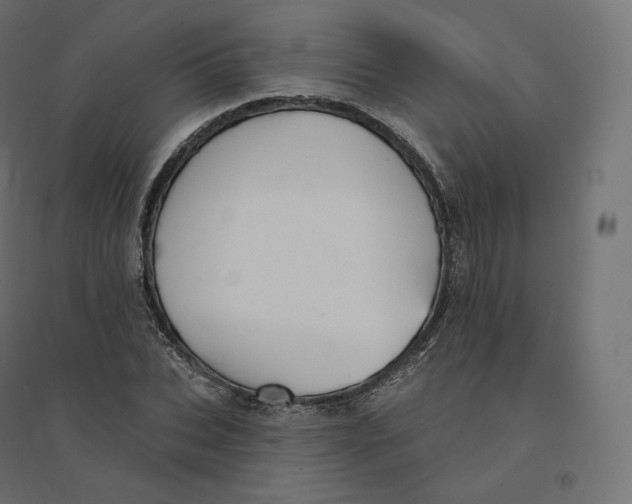 X0000094380927200711242019