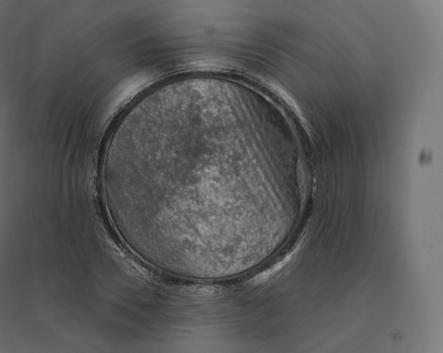 X0000094380930200711242019