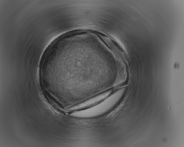 X0000094380932200711242019