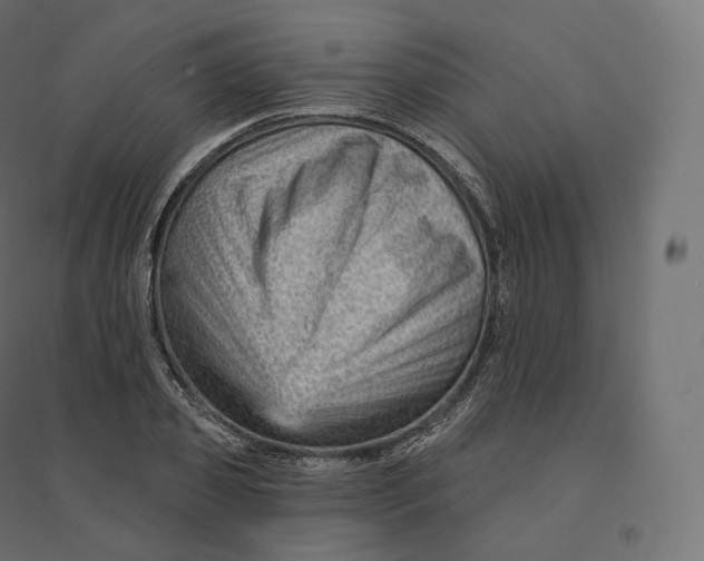 X0000094380933200711242019