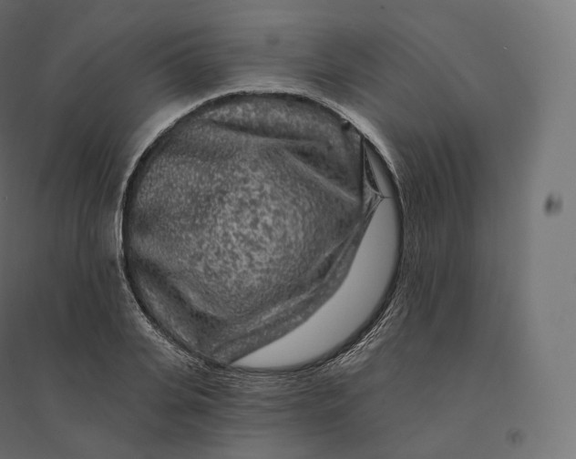 X0000094380935200711242019