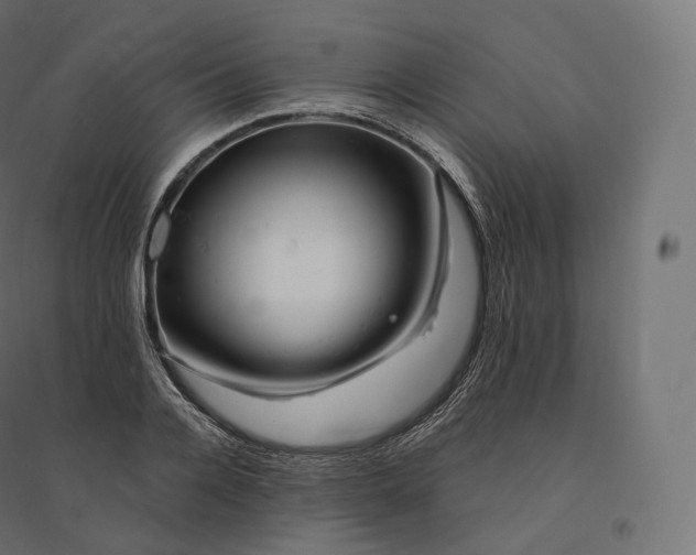 X0000094380936200711242019