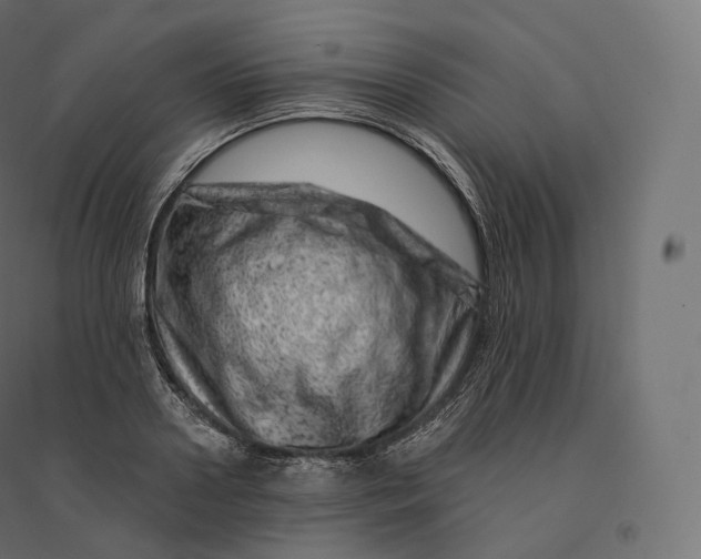 X0000094380938200711242019
