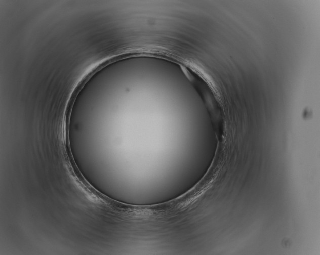 X0000094380940200711242019