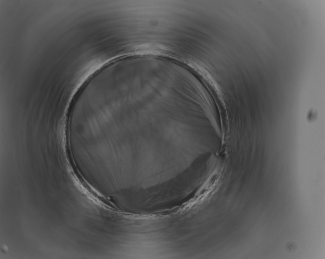 X0000094380941200711242019