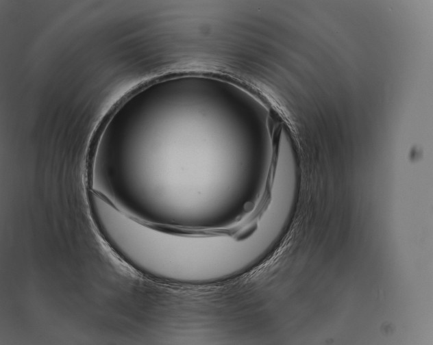X0000094380942200711242019